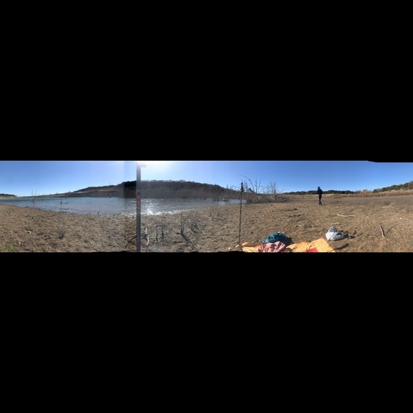 Locally sourced fossils - Picture 8 of 8